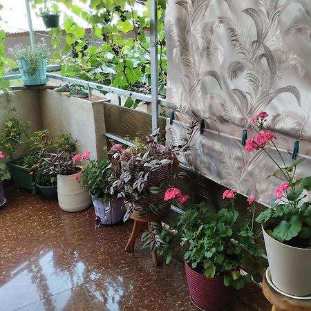 Отель House In Боржоми Номер фото